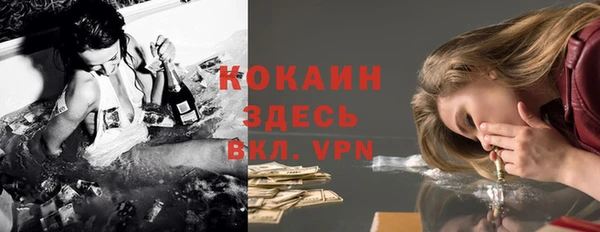 тгк Нея