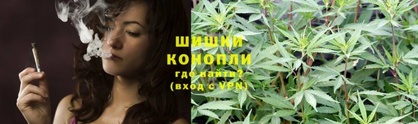 трава Нефтегорск