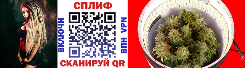 ссылка на мегу   Фатеж  Каннабис THC 21% 